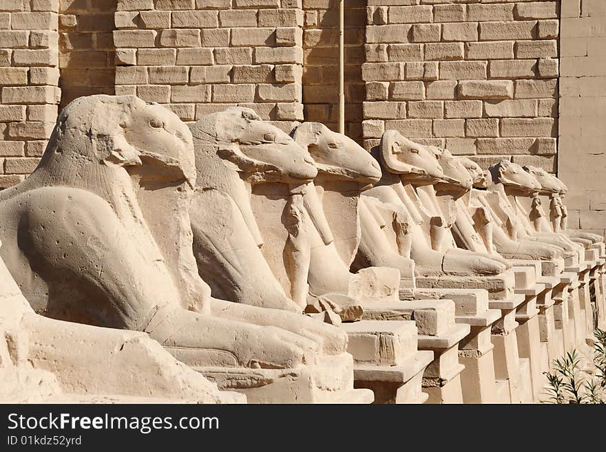 Ram headed sphinxes which line the entrance to Karnak. Ram headed sphinxes which line the entrance to Karnak.