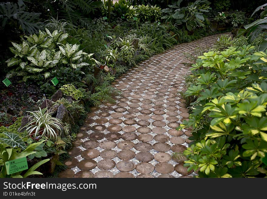 A path was paved with wooden,taken in south china botanical garden of guangzhou city