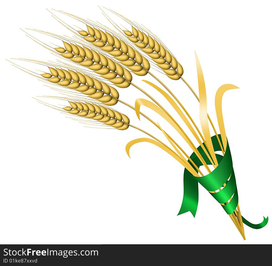 Five ears of wheat in the band