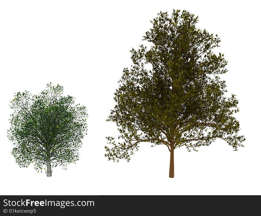 3d render of two trees. Isolated on white background. 3d render of two trees. Isolated on white background.