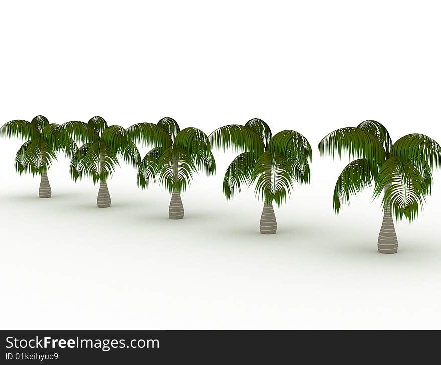 3d render of row of palms. Nature concept.