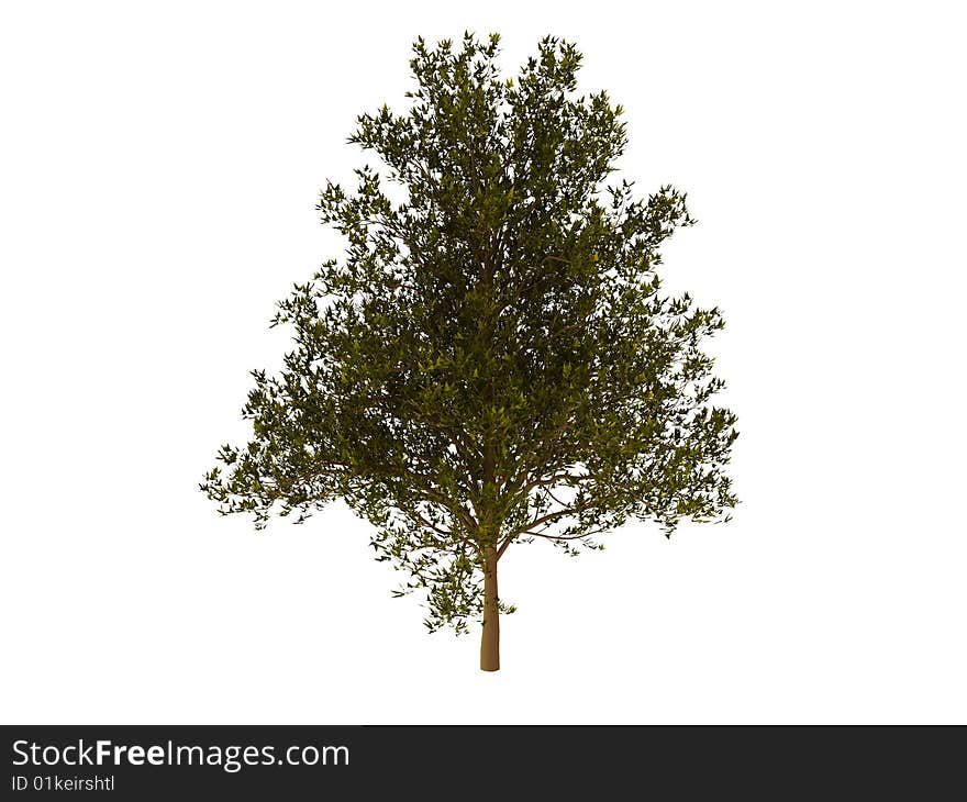 3d render of green tree. Isolated on white background.