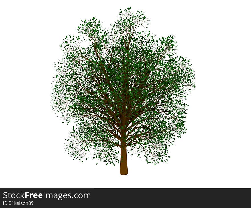 3d render of green tree. Isolated on white background.