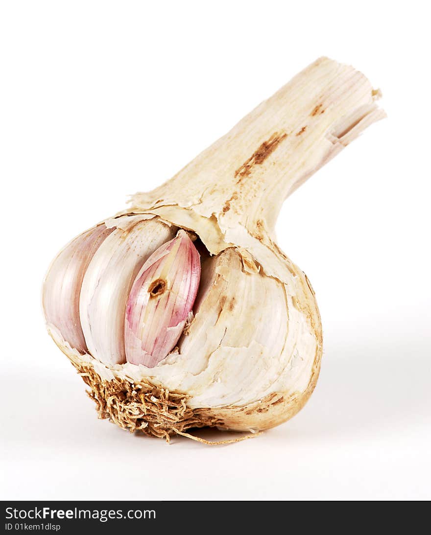 Garlic in a bad state