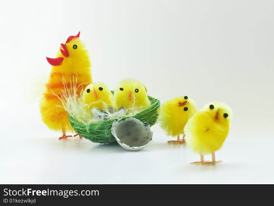 Easter chickens family on white background