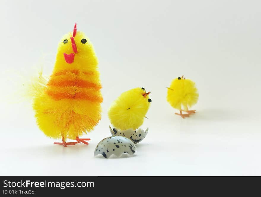 Easter chickens family on white background