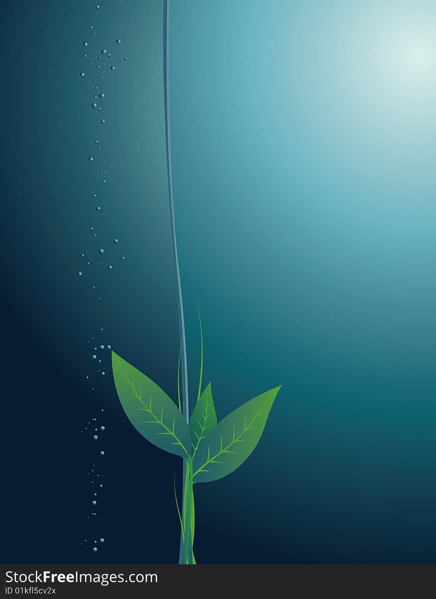 Runaway of a plant on a background of the turned thickness of water. Runaway of a plant on a background of the turned thickness of water