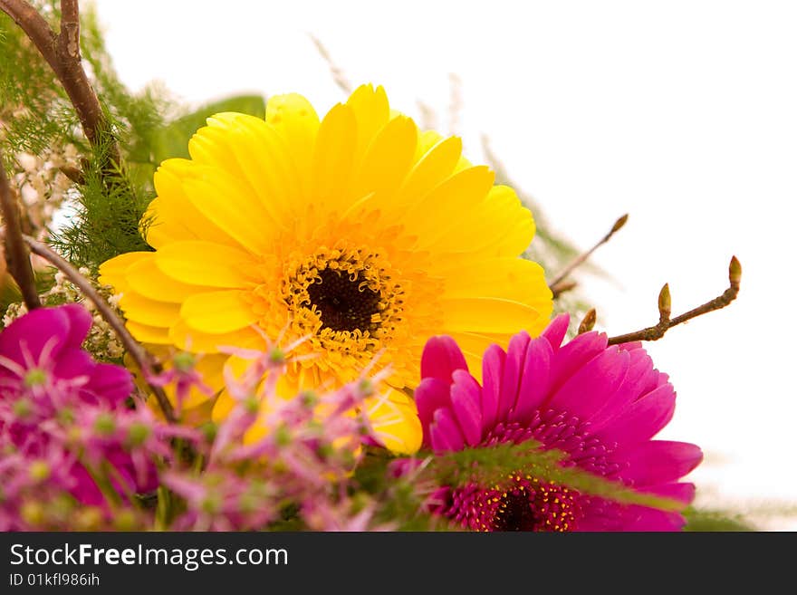 Flowers and present on white. Flowers and present on white