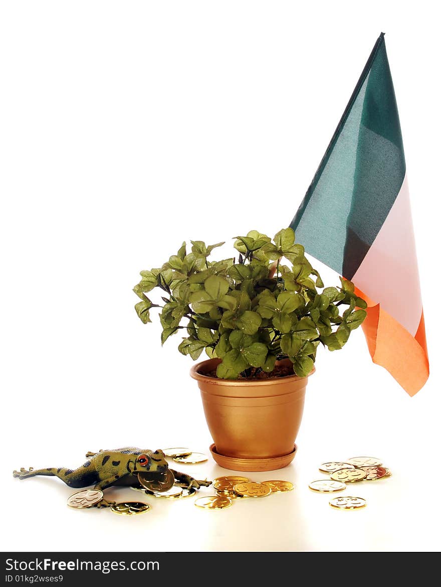 Rich Irish Frog