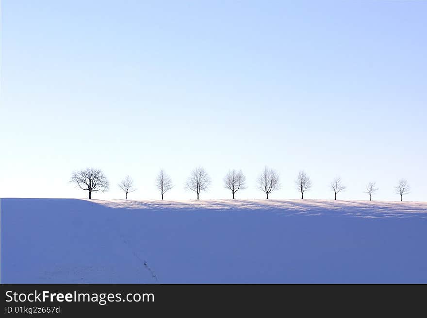 Ten bare trees lined up on the ridge of a snow covered hill. Ten bare trees lined up on the ridge of a snow covered hill.