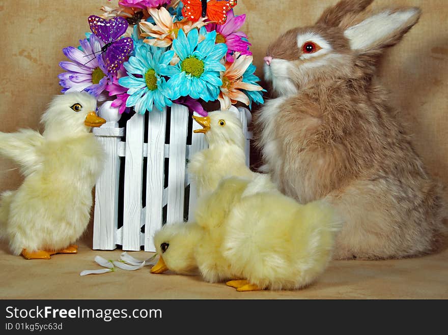 Bunny and ducklings with colorful daisy bouquet. Bunny and ducklings with colorful daisy bouquet.