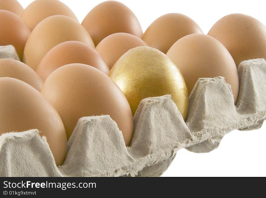 One golden and many ordinary fresh rural eggs packed into cardboard container isolated over white background