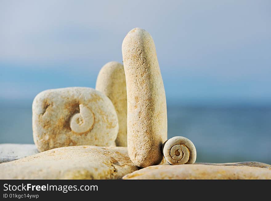 Texture of spiral snail at the white stones. Texture of spiral snail at the white stones