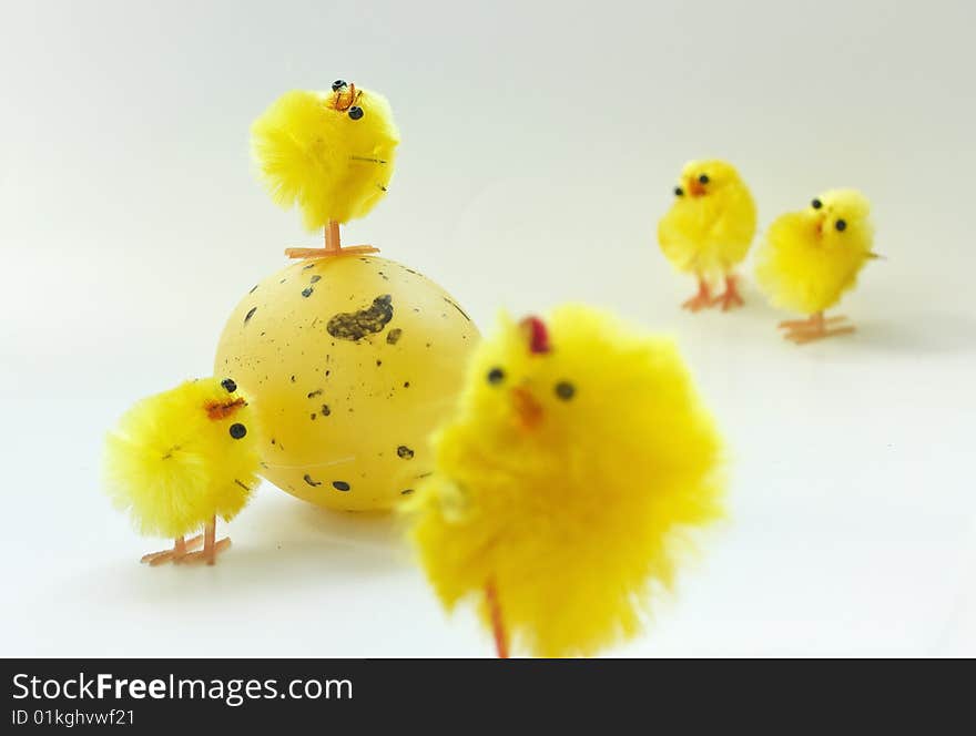 Easter chickens family on white background