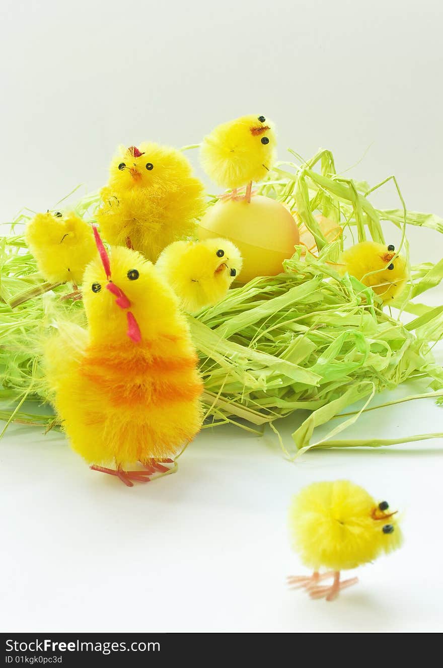 Easter chickens family on white background