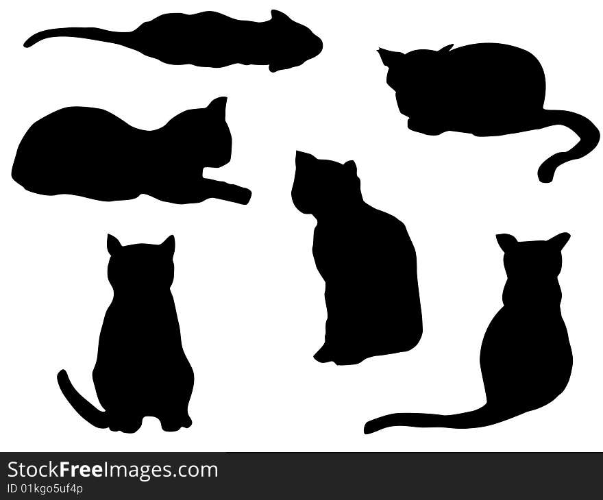 Cats outline sitting and from above