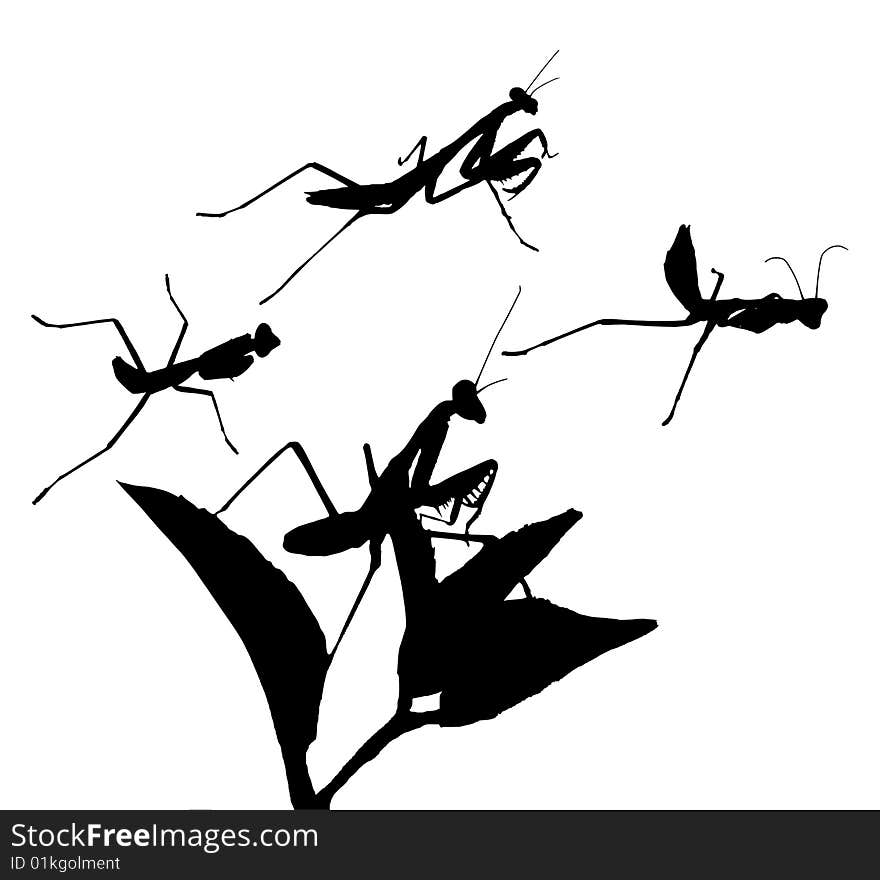 A couple of Praying Mantises in different positions. Change the colour it�s a vector.