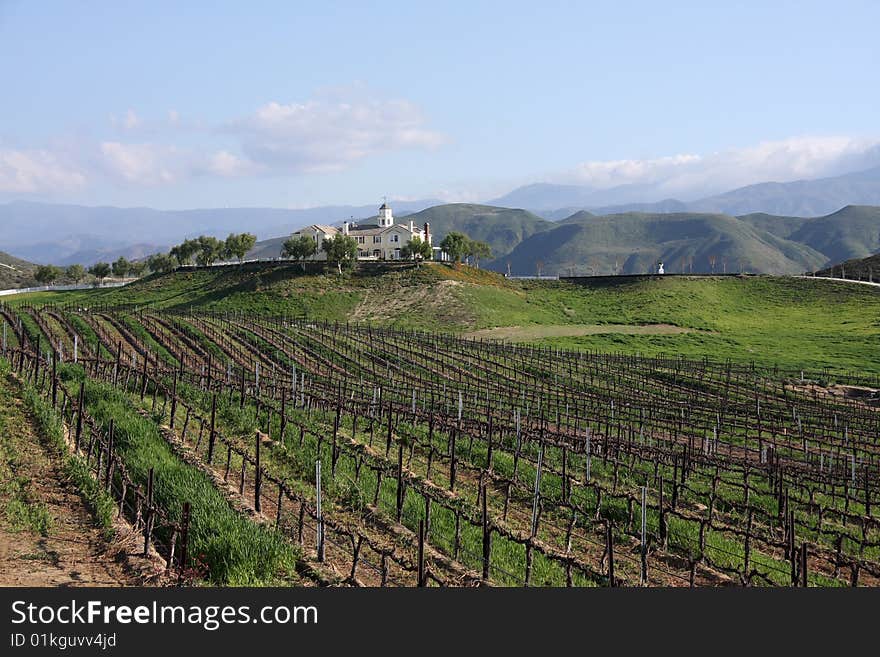 Country Manor Overlooking A Vineyard