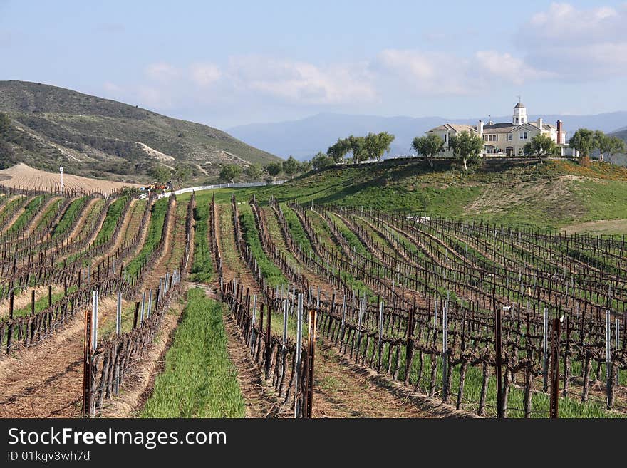 Country Manor Overlooking a Vineyard