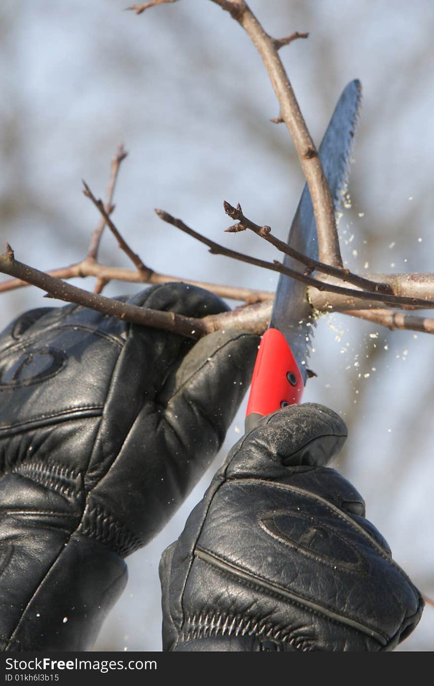 Cutting A Tree 2