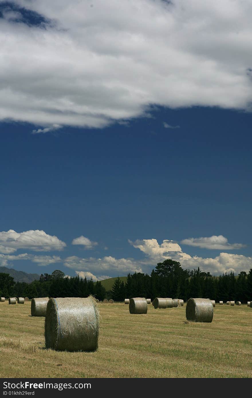 Hayfield and rolled hay bales