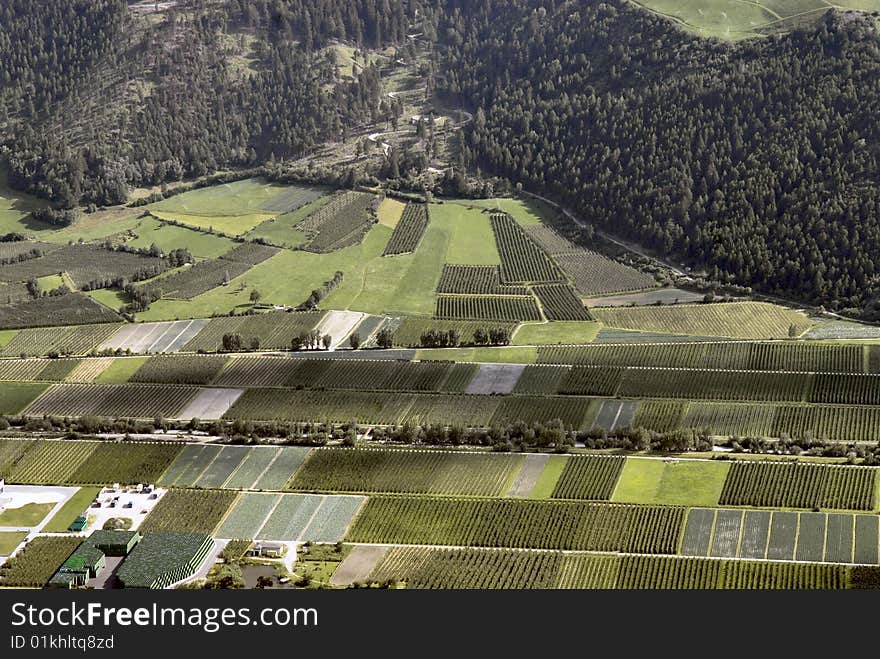 Vineyards valley