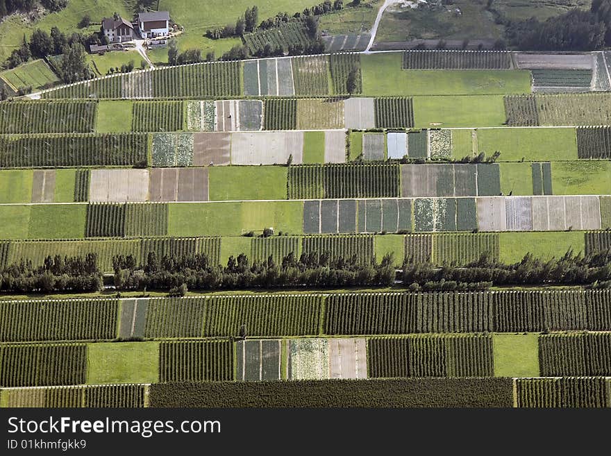 Vineyards Valley