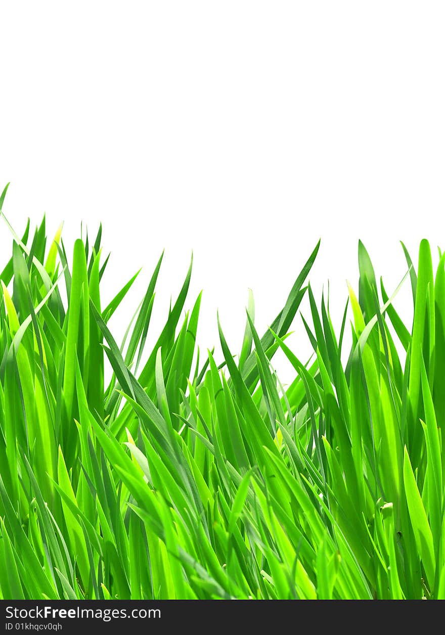 Green grass