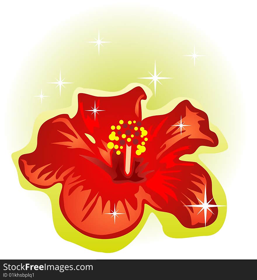 Stylized hibiscus isolated on a white background.
