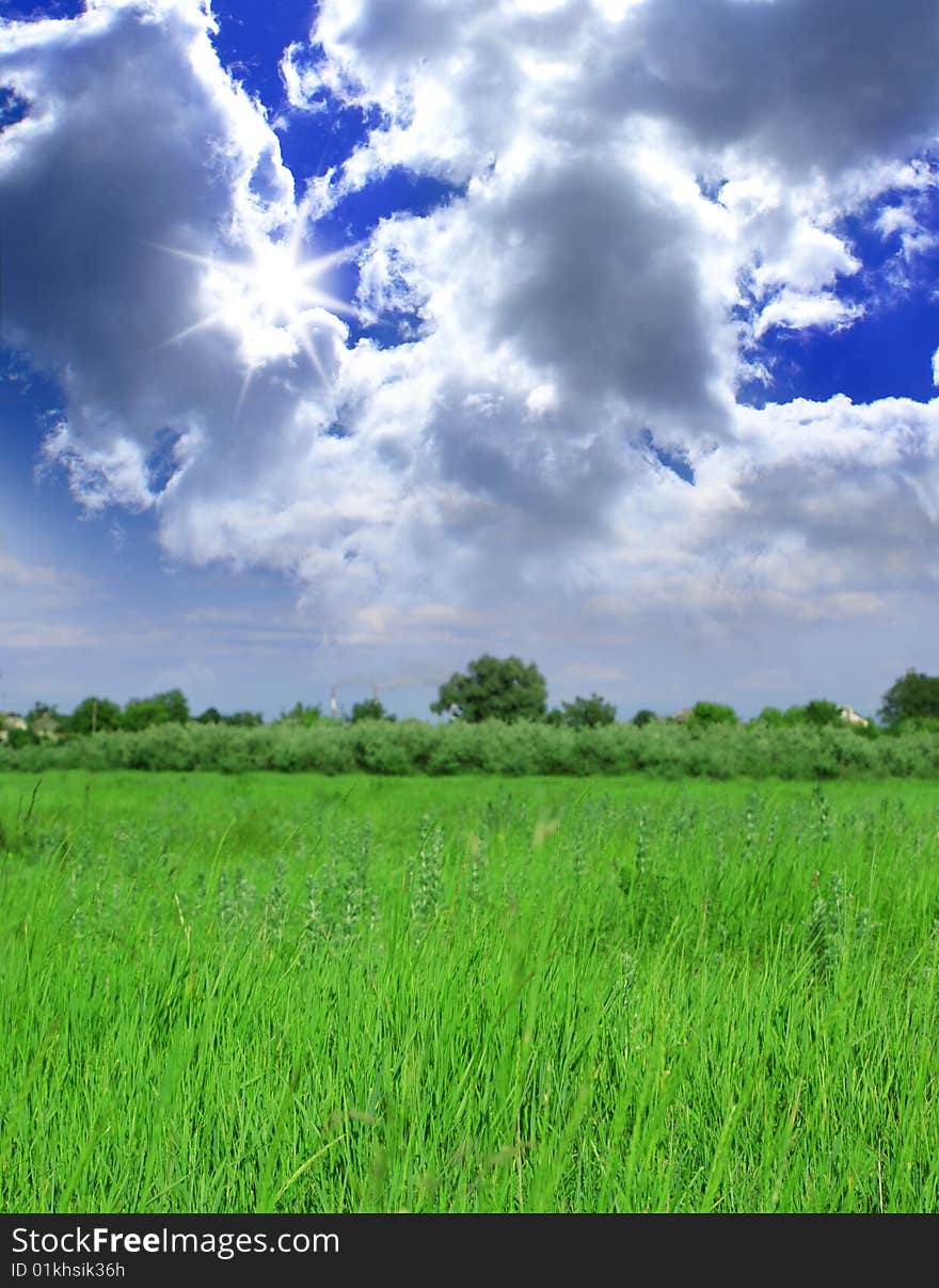 Green grass and blue sky with clouds. Green grass and blue sky with clouds