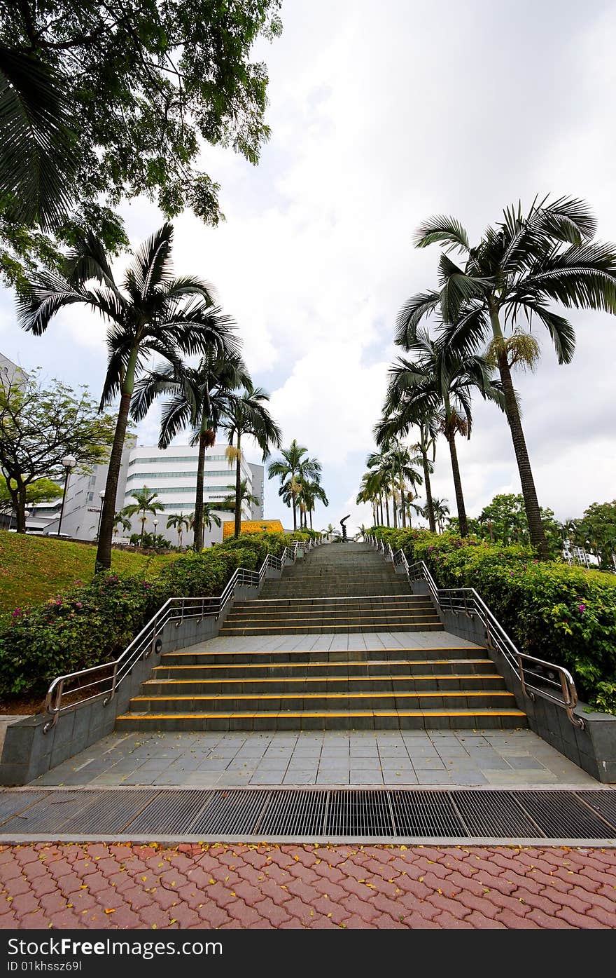 Long flight of stairs lined with palm trees