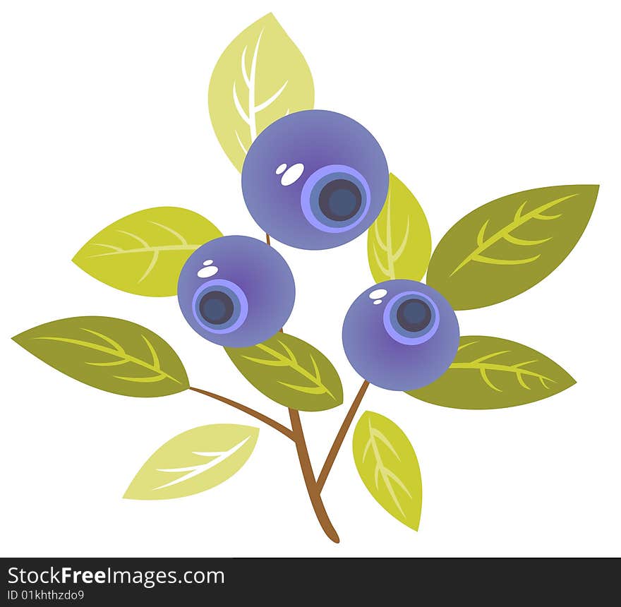 Stylized bilberry isolated on a white background.