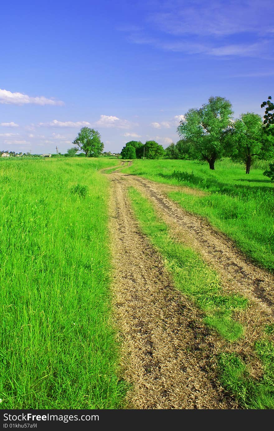 Green field and blue sky landscape with road