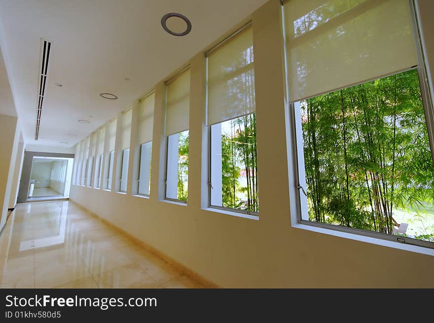 Modern corridor facing bamboo trees. Modern corridor facing bamboo trees