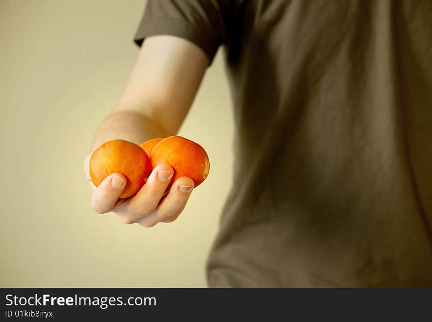 Mandarines in Hands