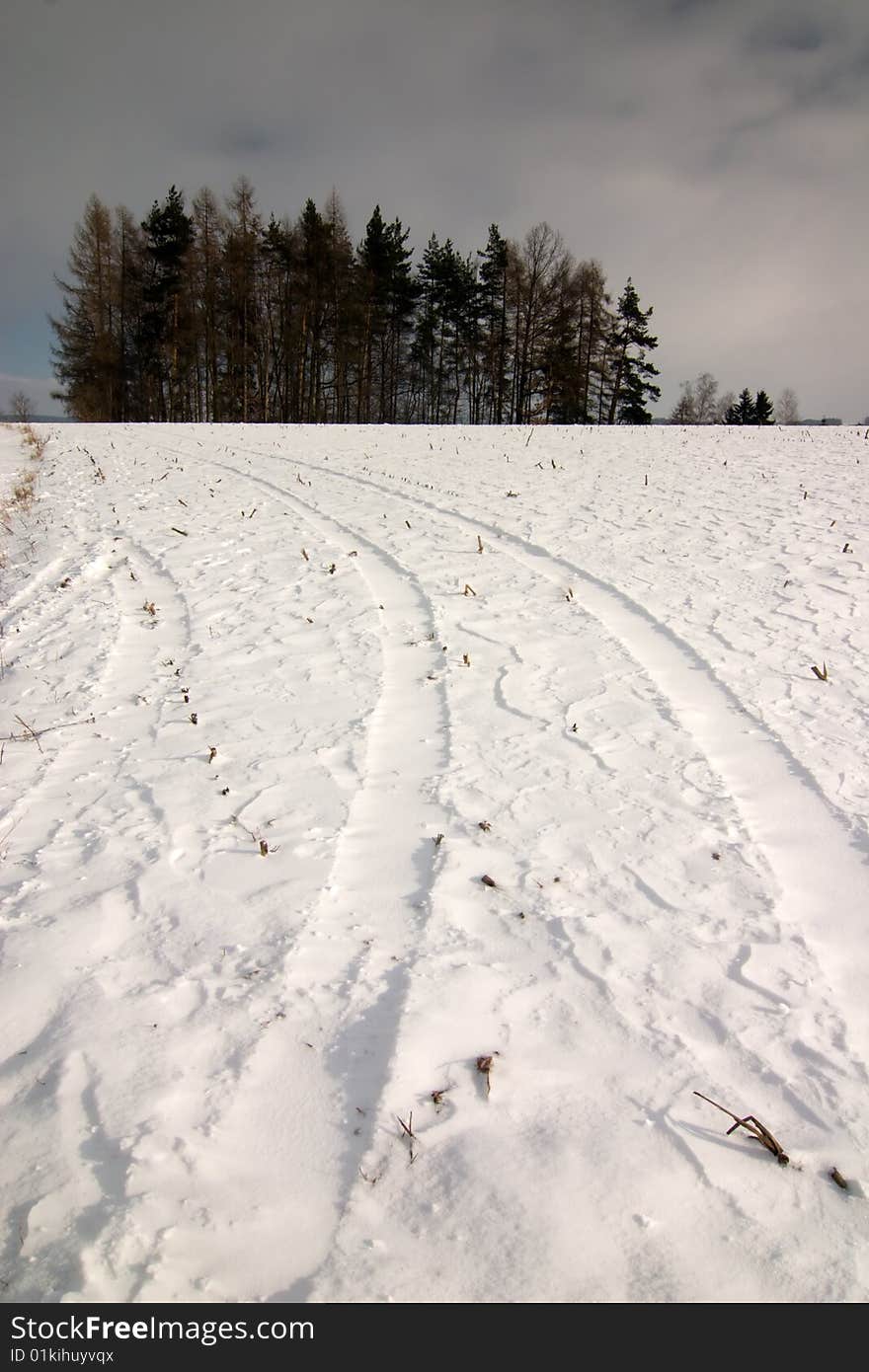 The winter road with forest