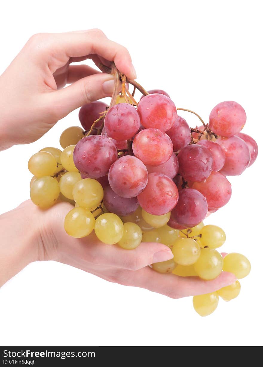 Female hands holding grapes