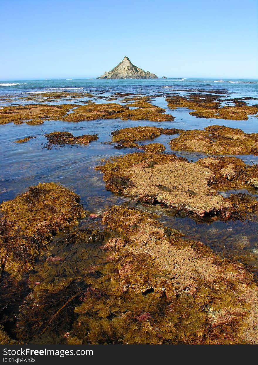 Kelp and mountain