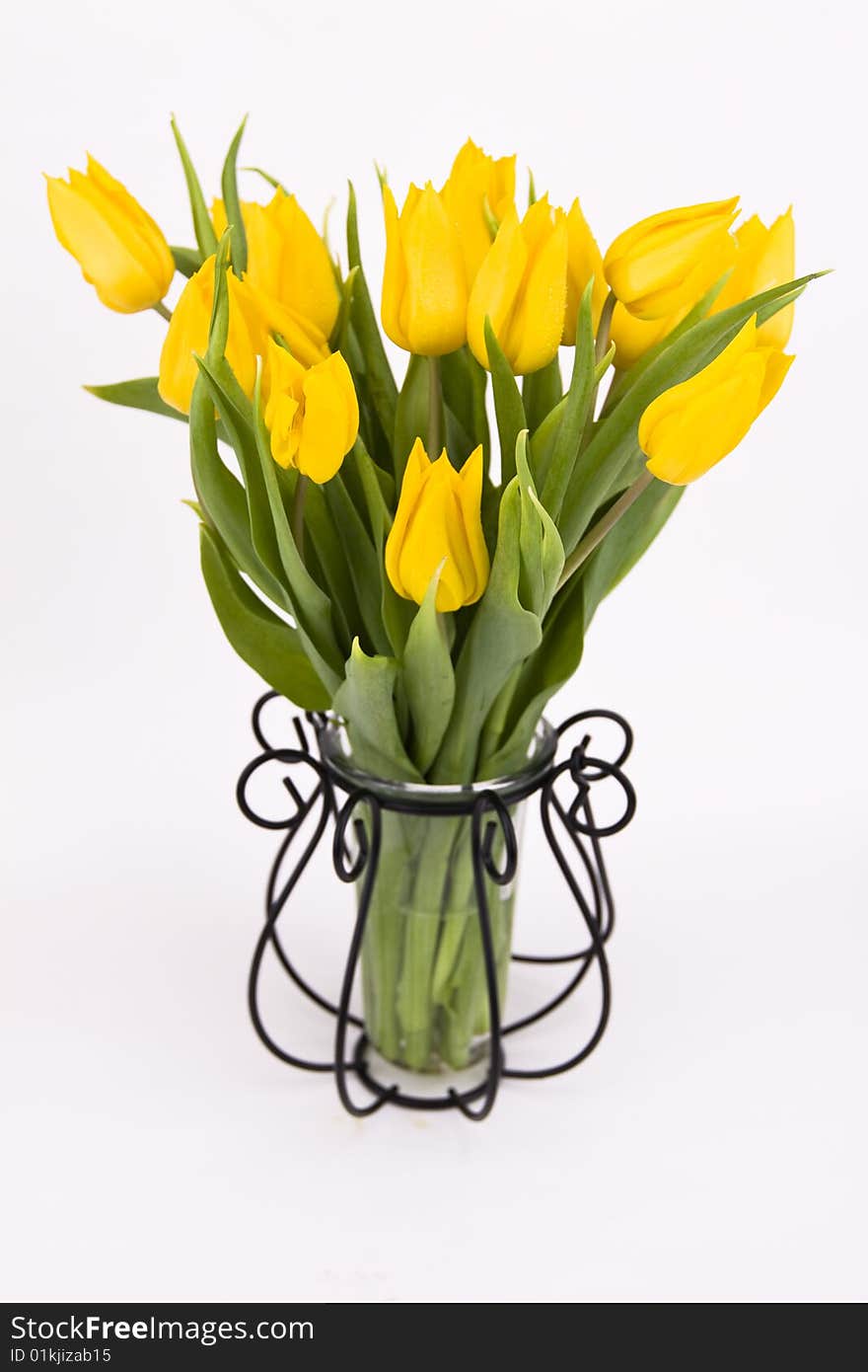 Yellow tulips