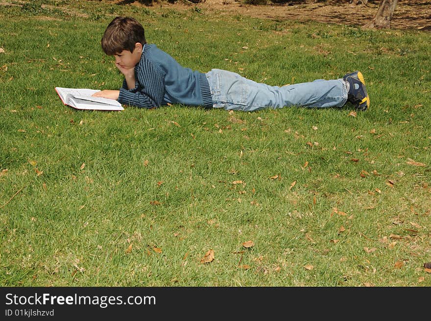 The boy reading the book in park