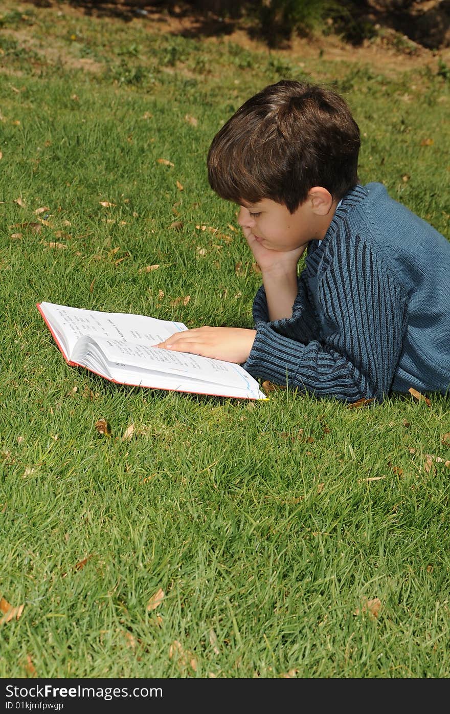 The boy reading the book in park