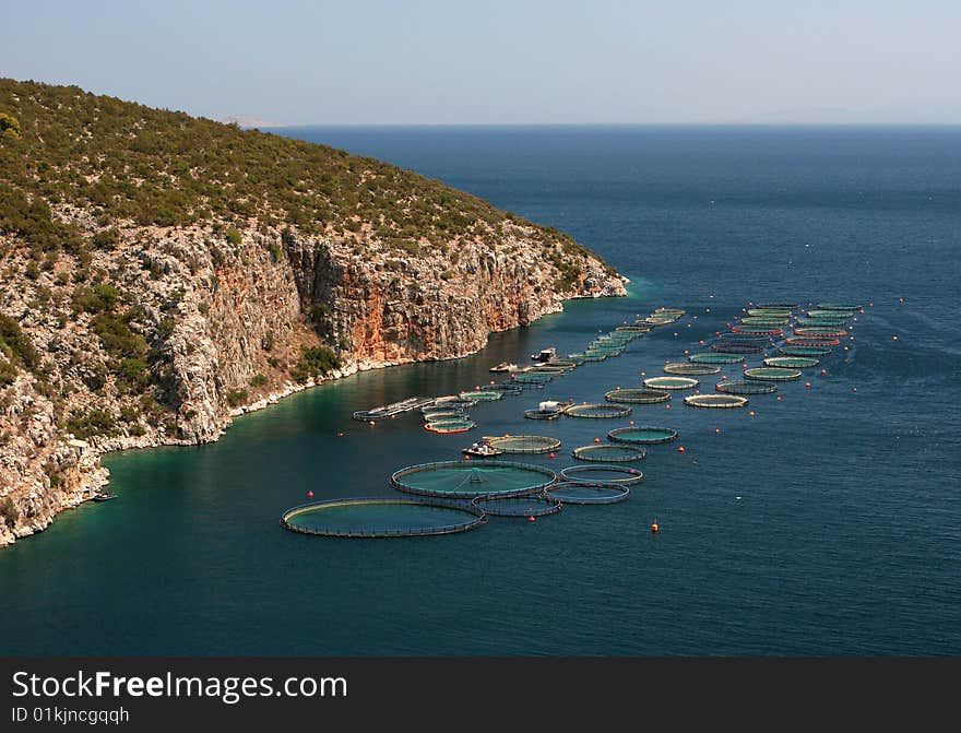 Cultivation of a fish. Peloponnese, Greece.