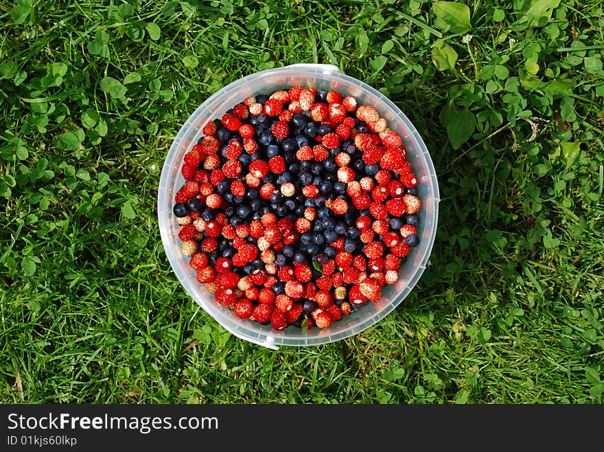 Wood berries - bilberry and wild strawberry in a bucket against a grass