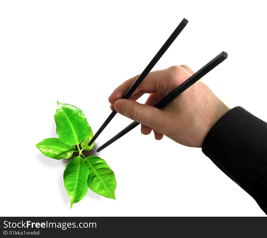 Chopsticks in a hand and plant. Chopsticks in a hand and plant