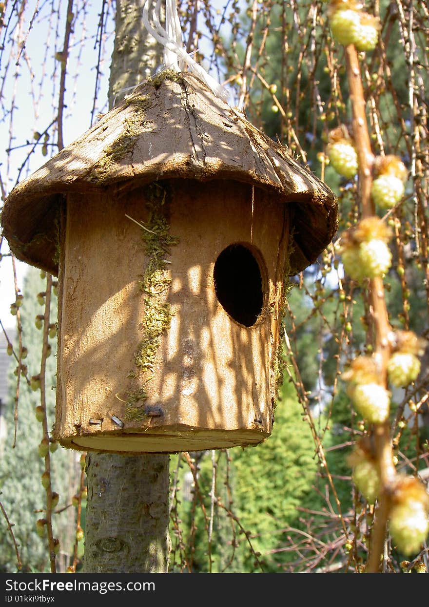 Bird box on a larch trunk