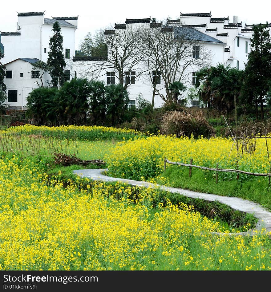 Spring season in a chinese village. Spring season in a chinese village