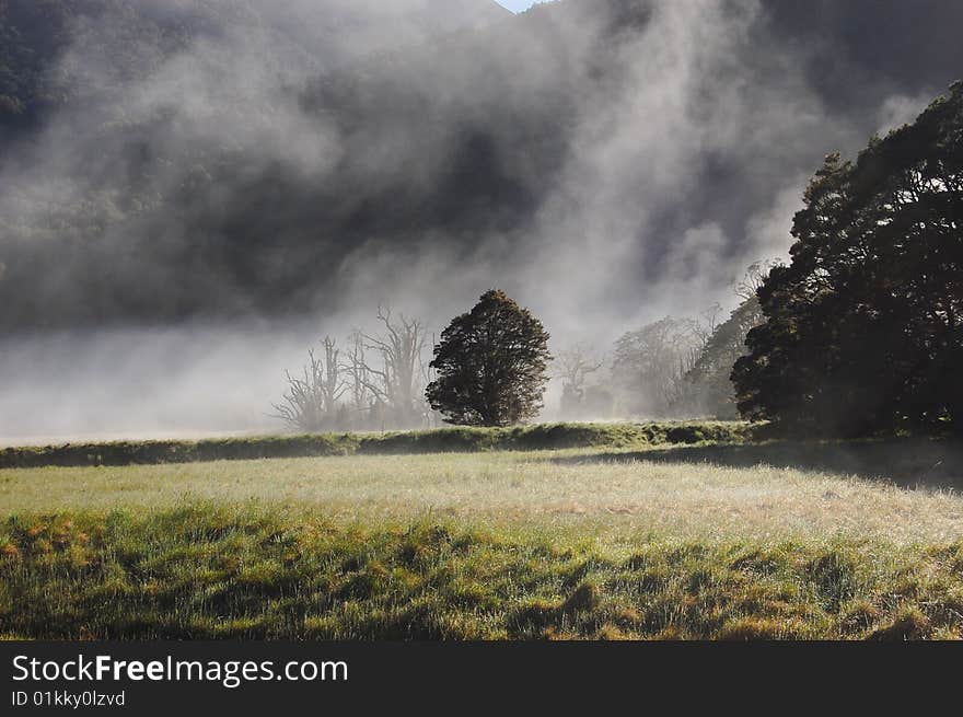 Morning mist on the grassland, New Zealand. Morning mist on the grassland, New Zealand