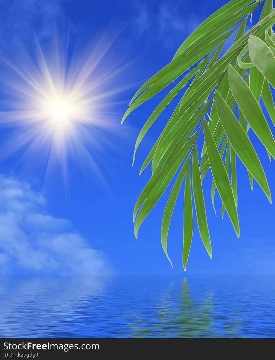 Green palm leaves on the sky background with bright sun and water