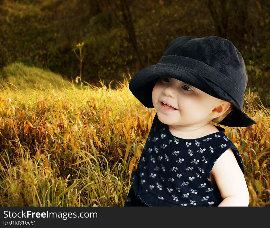 Autumn meadow