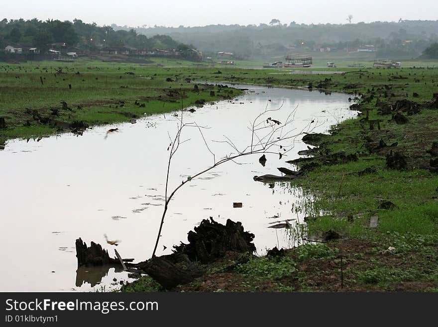 River and forest devastated by seasonal flooding of the Amazon River - Brazil